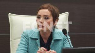 Zekić: Pritisak na institucije